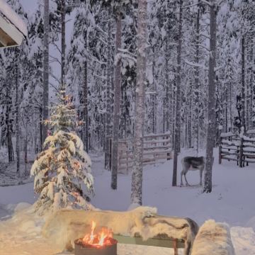 芬兰+挪威9日6晚私家团