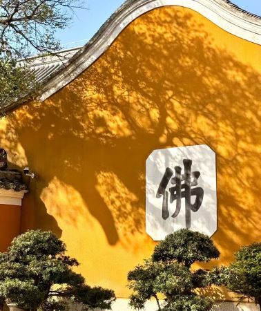 2D1N • 2-day 1-night guided tour: Mount Putuo scenic area, Zhejiang