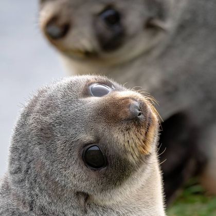 新西兰3日2晚拼小团
