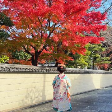 日本东京+箱根+京都+大阪9日8晚私家团