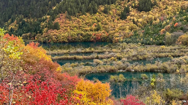九寨沟自由行攻略：交通住宿全解析