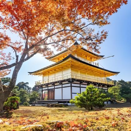 日本大阪+神户+宫津市+京都+有马温泉乡+天桥立+琵琶湖7日6晚拼小团