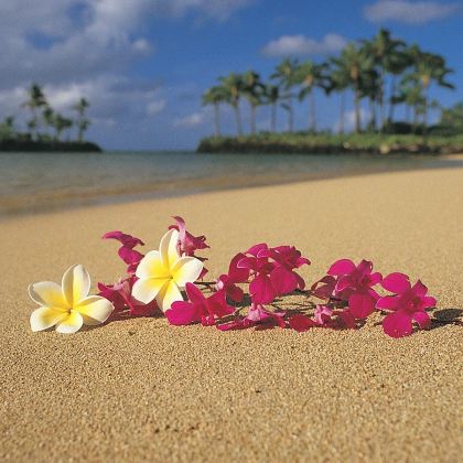 美国夏威夷檀香山7日5晚跟团游