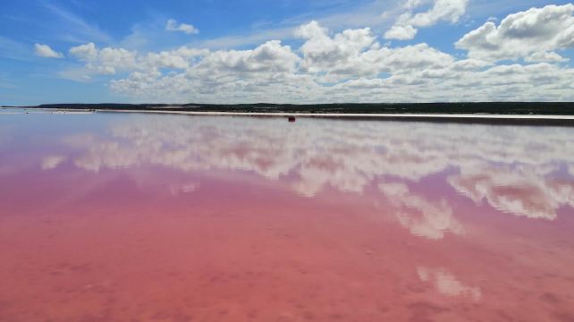澳大利亞西澳大利亞+赫特瀉湖+卡爾巴里國家公園2日1晚跟團遊·11人精品小團+卡爾巴里度假村+2次遊粉紅湖+龍蝦餐+自然之窗+尖峯石陣+可安排三人間