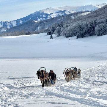 芬兰+挪威+冰岛15日14晚私家团