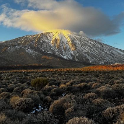 西班牙马德里+巴塞罗那+塞维利亚+特内里费岛12日10晚拼小团