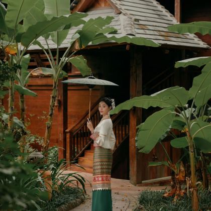 普洱+西双版纳+景迈山5日4晚私家团