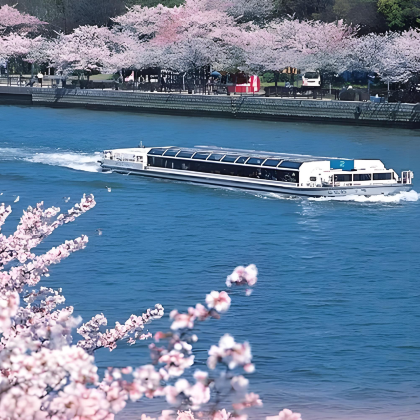 日本大阪+京都+东京+伊豆+清水寺+伊豆高原樱花通道+伊豆白滨海岸9日8晚私家团