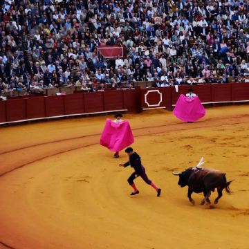 西班牙马德里+塞哥维亚+萨拉曼卡+塞维利亚+龙达+格拉纳达+巴塞罗那+葡萄牙波尔图+辛特拉+里斯本17日16晚拼小团