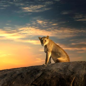 坦桑尼亚8日6晚拼小团