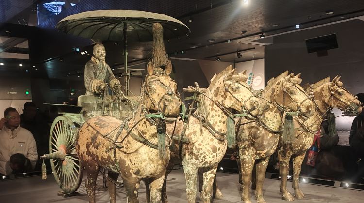 3D2N · Group Tours · On this tour, try Hanfu styling, savor Lintong's local flavors, wander the ancient City Wall, marvel at the Terracotta Army, and delve into the grandeur of Tang Dynasty culture.