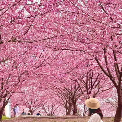 江西南昌+庐山3日2晚拼小团