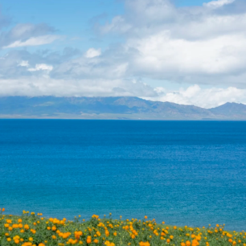 新疆乌鲁木齐+赛里木湖+那拉提空中草原8日7晚跟团游