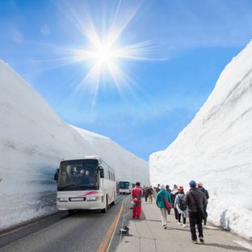 日本富山县立山町立山黑部阿尔卑斯山脉+上高地+大王山葵农场+黑部水坝+雪之大谷+御池+白川乡3日2晚跟团游