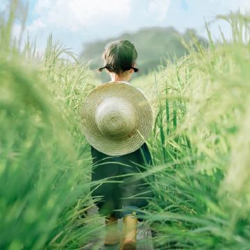 吉林长白山+延吉+哈尔滨+漠河北极村10日9晚拼小团