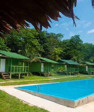 3D2N • 3-Day All Inclusive Guided Jungle Tour from Iquitos at Maniti Eco-Lodge