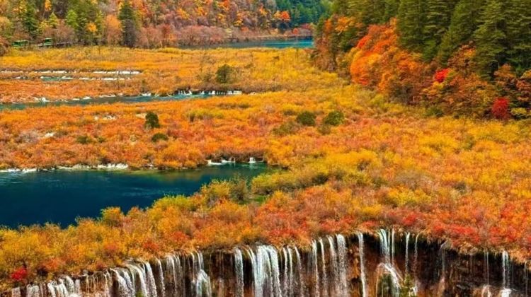 6D5N · Private Tours · Autumn & winter alpine tour: Jiuzhaigou, Huanglong, Panda Valley, Dujiangyan & Siguniang Mountain - airport transfer included, free time in Chengdu