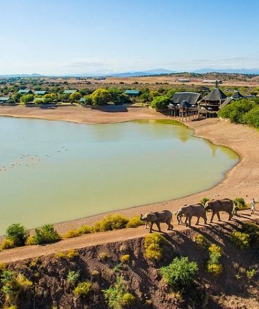 3D2N • 3 Day Garden Route Highlights and Safari with Private Transfers