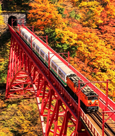 6D5N • Japan central autumn foliage discovery: Tateyama Kurobe Alpine Route, Kurobe Gorge Railway, Shirakawa-go Village, Takayama Old Town, and Nagoya