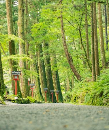 6日5晚 • 日本｜东北自然人文探索之旅｜仙台出发 - 森林溪流绝景 - 武家古町- 日本三景松岛