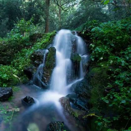 杭州西湖风景名胜区+杭州宋城3日2晚私家团