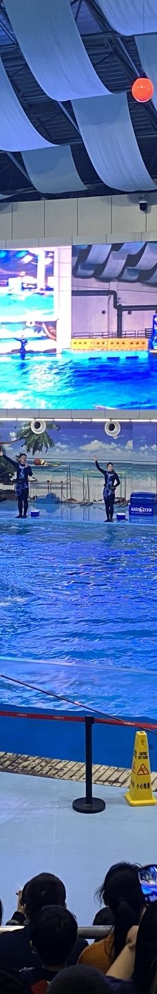 合肥海洋世界-合肥