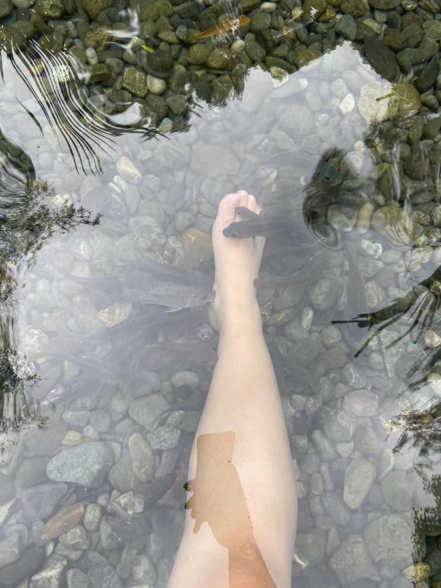 枫香温泉度假中心旅行图片 2