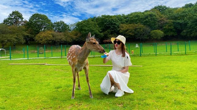 神农架、宜昌+4