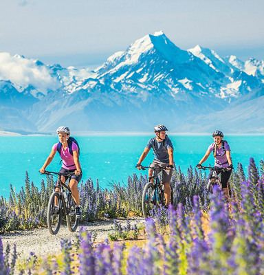 新西兰奥克兰+科罗曼德尔+罗托鲁瓦+派希亚11日9晚私家团