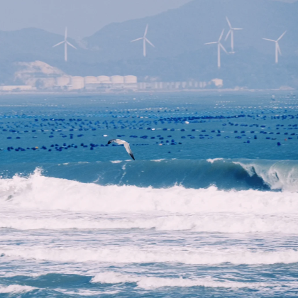 漳州+福建土楼+东山岛4日3晚私家团