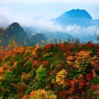 巴中+光雾山旅游景区+米仓山国家森林公园+汉中龙头山国际旅游度假区+黎坪森林公园+汉中8日7晚私家团