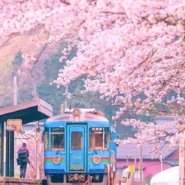 日本大阪+京都+奈良市6日5晚跟团游