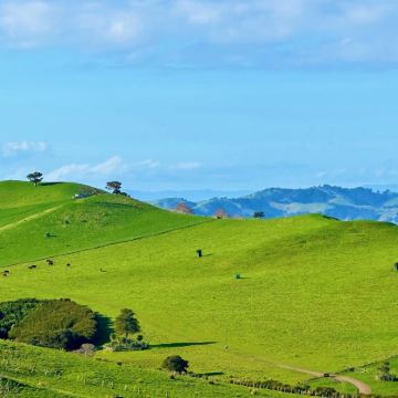 新西兰奥克兰+皇后镇+基督城14日13晚私家团