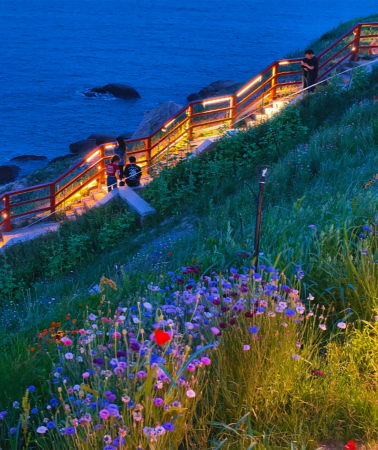 5D4N • Qingdao Spring Flower Tour: Qingdao + Laoshan District