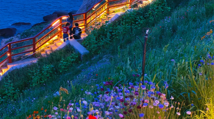 4D3N · Private Tours · Qingdao + Laoshan Scenic Spot + Tsingtao Beer Museum + Huangdao District