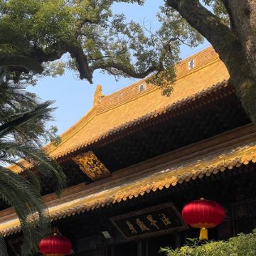 舟山+普陀山4日3晚私家团