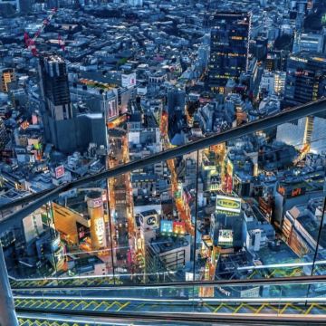 日本东京+伊豆+东伊豆町+西伊豆町+富士河口湖町+箱根8日7晚拼小团