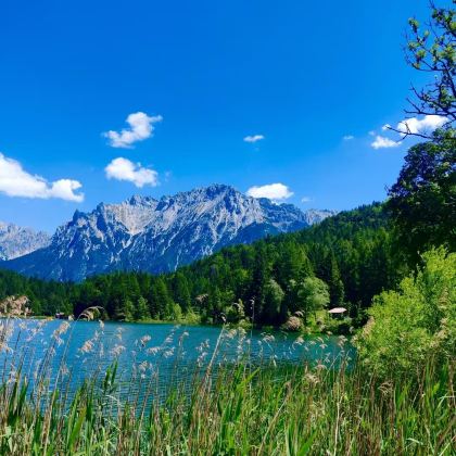 德国8日6晚私家团