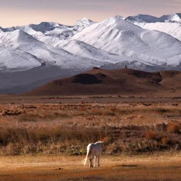 西藏拉萨+珠峰大本营+纳木措圣象天门+羊卓雍错+色林措6日5晚拼小团