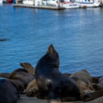 美国洛杉矶+拉斯维加斯14日13晚私家团