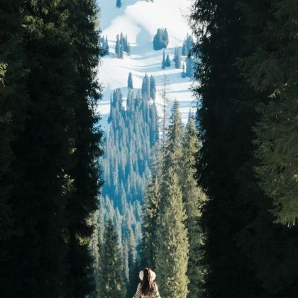 新疆乌鲁木齐+北疆+喀纳斯+赛里木湖10日9晚拼小团