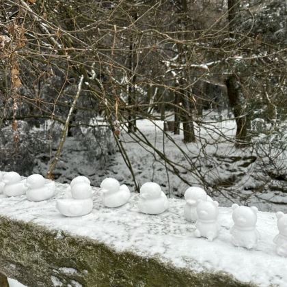 南昌滕王阁旅游区+庐山风景名胜区+望仙谷+龙虎山风景名胜区+龟峰风景名胜区5日4晚私家团