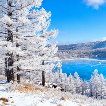 呼伦贝尔+满洲里+阿尔山6日5晚拼小团