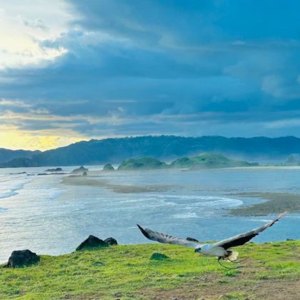 巴厘岛+吉利群岛+龙目岛8日7晚私家团