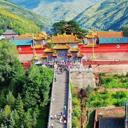 山西忻州+五台山4日3晚私家团