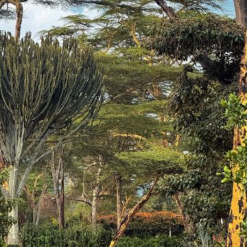 肯尼亚+乌干达+南非13日12晚私家团