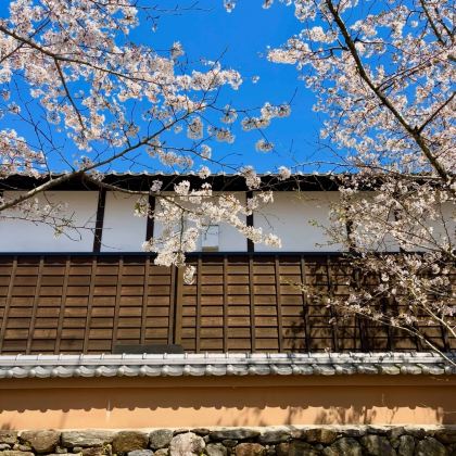 日本九州+福冈+北九州+丝岛市5日4晚跟团游