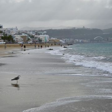 大加那利岛+特内里费岛+马德里9日8晚自由行