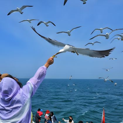 北戴河+避暑山庄+坝上+木兰围场+乌兰布统旅游区6日5晚拼小团