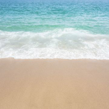 胡志明市+芽庄+岘港7日6晚自由行